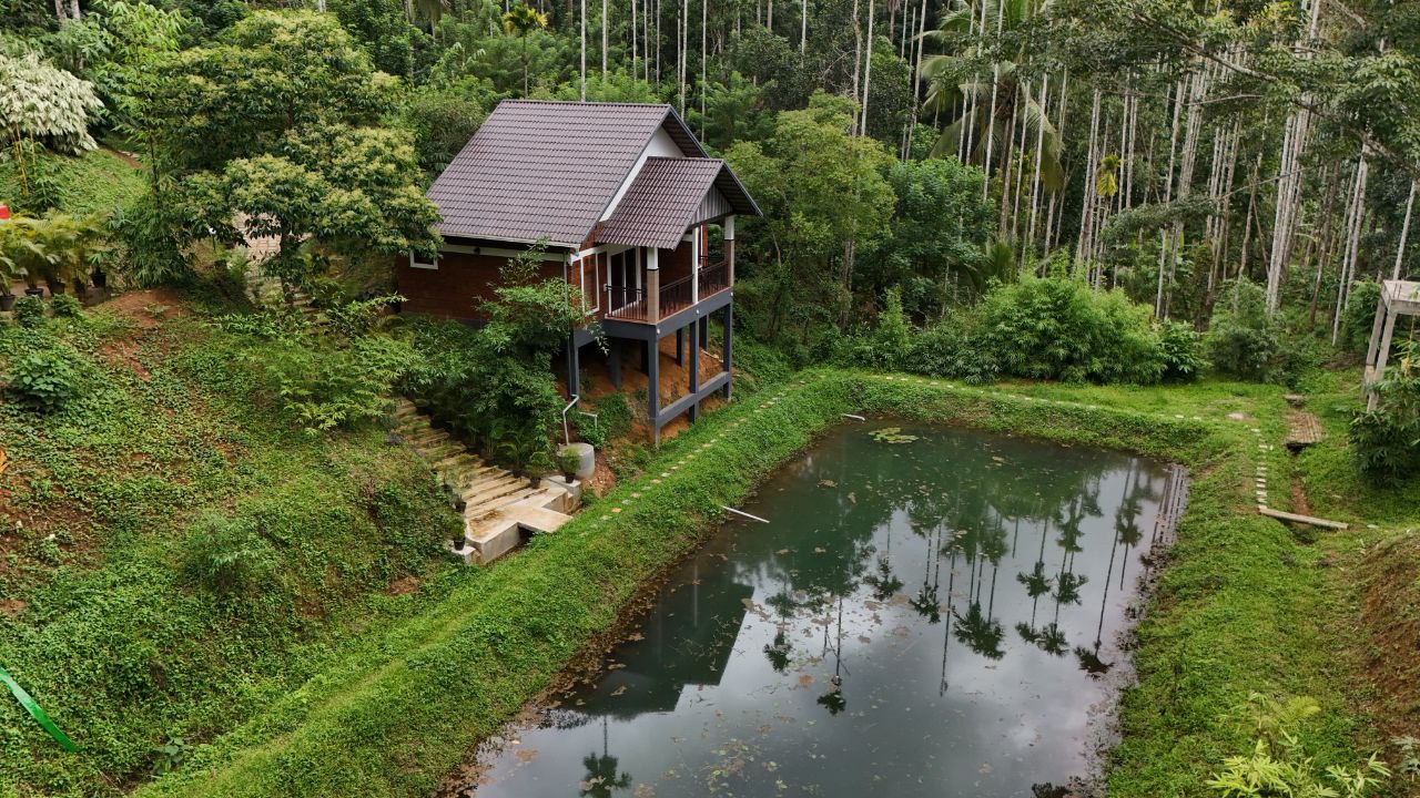 Casta Wild Homestay